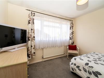 Picture 14